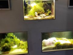 -嘉兴海底世界