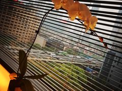 璞丽酒店-上海璞麗酒店