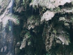 -马岭河峡谷风景区