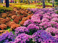 -国家植物园南园