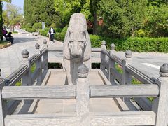 -洛阳白马寺