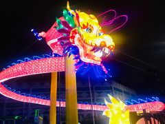 -锦江乐园舞狸花花游园会(夜场专享)