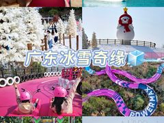 -盈香心动乐园