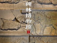 -西安碑林博物馆