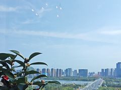 -皇朝万鑫自助餐厅