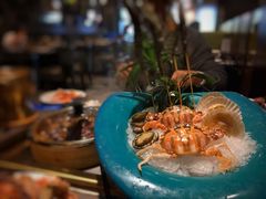 -小天鹅戴斯酒店鲸鲨百汇创作料理