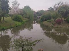 -鹅湖玫瑰文化园