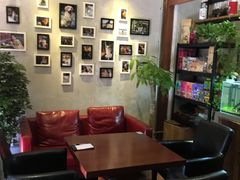 -百好乐宠物友好餐厅(朝外大街店)