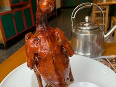 -大鸽饭(马王堆店)
