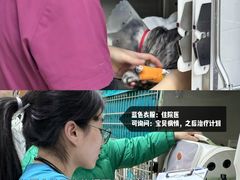 -美联众合动物医院·24h转诊中心