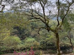 -水墨汀溪风景区