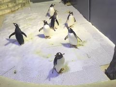 -成都浩海立方海洋公园