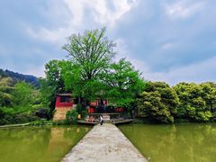 -佛荫寺