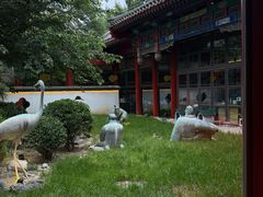 -1949-全鸭季(金宝街店)