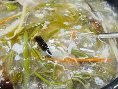 三丝莼菜羹-协和菜馆(凤凰街店)