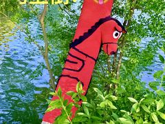 -宜兴龙背山森林公园