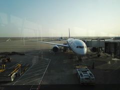 -全日本空输株式会社(上海办事处)