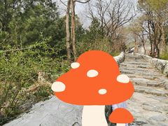 -阳台山自然风景区