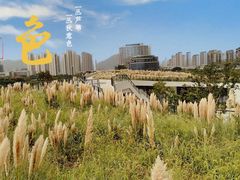 -三垟湿地