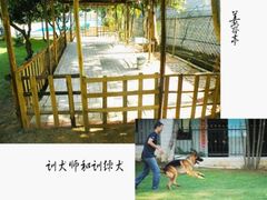 -良成狗狗乐园