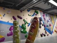 -CLIFFS颗粒攀岩(萧山众安店)