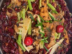 -老板恋上鱼(恒隆广场店)