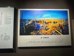 -巴音郭楞蒙古自治州博物馆