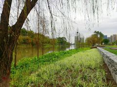 -怡海公园(桂城街道)