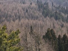 -山王坪喀斯特国家生态公园