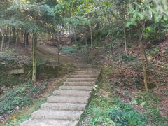 -上海佘山国家森林公园天马山园