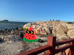 -养马岛旅游度假区