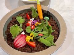 盆栽色拉-荟廷·晶萃(陆家嘴尚悦湾店)