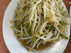 醋溜豆芽-教师之家赵家羊汤馆(东青龙街店)