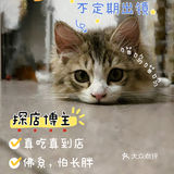 关于我在烟台发现的宝藏店铺