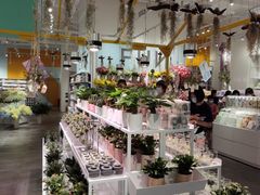 -KKV(深圳宏发大仟里店)