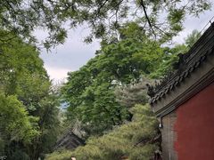 -潭柘寺景区