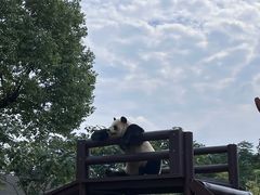 -杭州野生动物世界