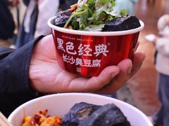 -黑色经典臭豆腐·湖南特产(潇湘文化店)