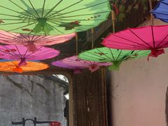 -鱼食饭稻·苏浙土菜17年老馆子(平江路店)