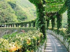 -郧西五龙河风景区