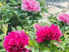 -国家植物园南园