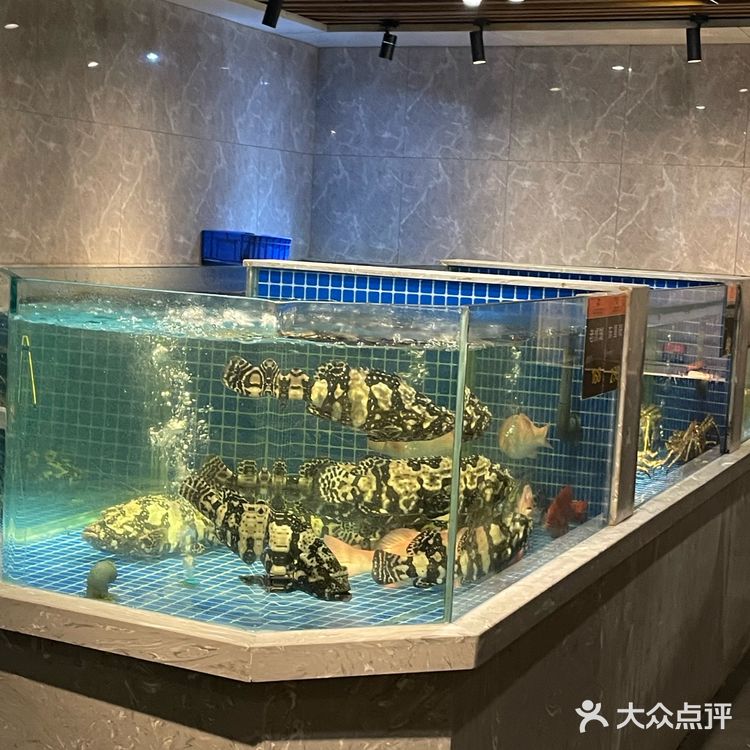 西溪湿地旅游团大自然的雨后韵味