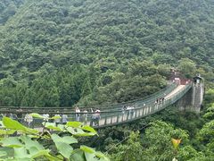-娄山关景区