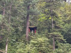 -五营红松林海景区