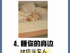 -纳吉亚猫专科动物诊疗中心(蒋宅口分院)