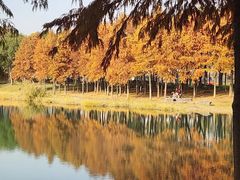 -尚贤河湿地