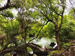 -绮园景区