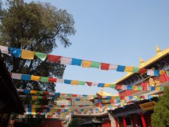 -西安市广仁寺