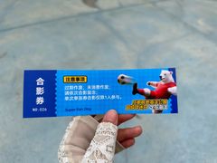 -海合安成都极地海洋公园