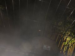 -三江森林温泉度假区